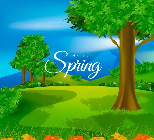 spring hillmedgroup com