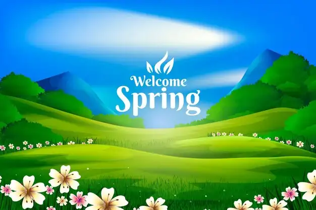 spring hillmedgroup com